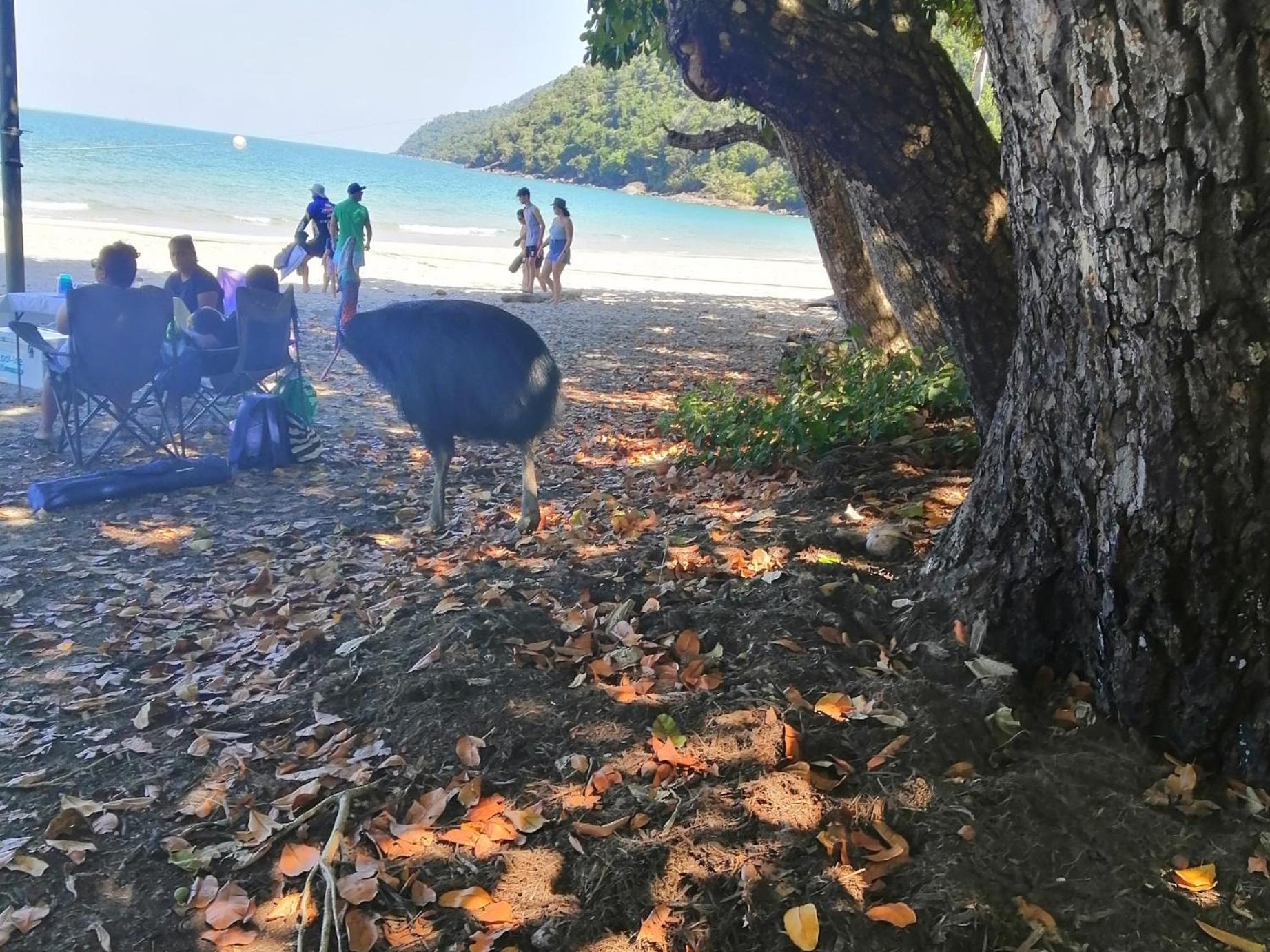 Possum Stay Innisfail Luaran gambar